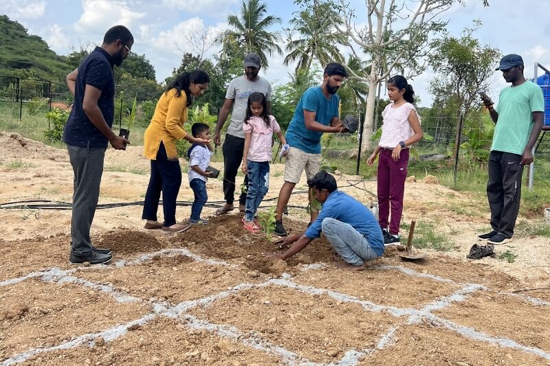 Ecological Landscaping 01