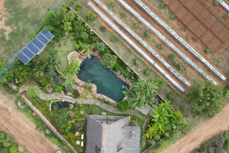 Ecological Landscaping 02