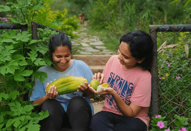 Farming Practices 04